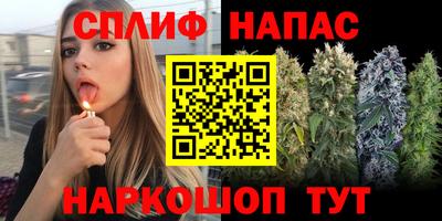 прущие крисы Вязьма
