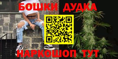 гашик Бийск