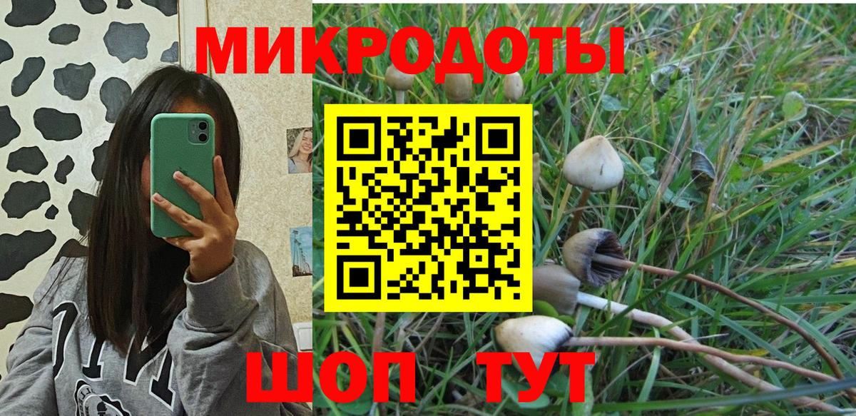 Галлюциногенные грибы MAGIC MUSHROOMS Белово