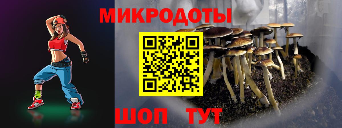 Галлюциногенные грибы Psilocybe  Вход с VPN  Белово 
